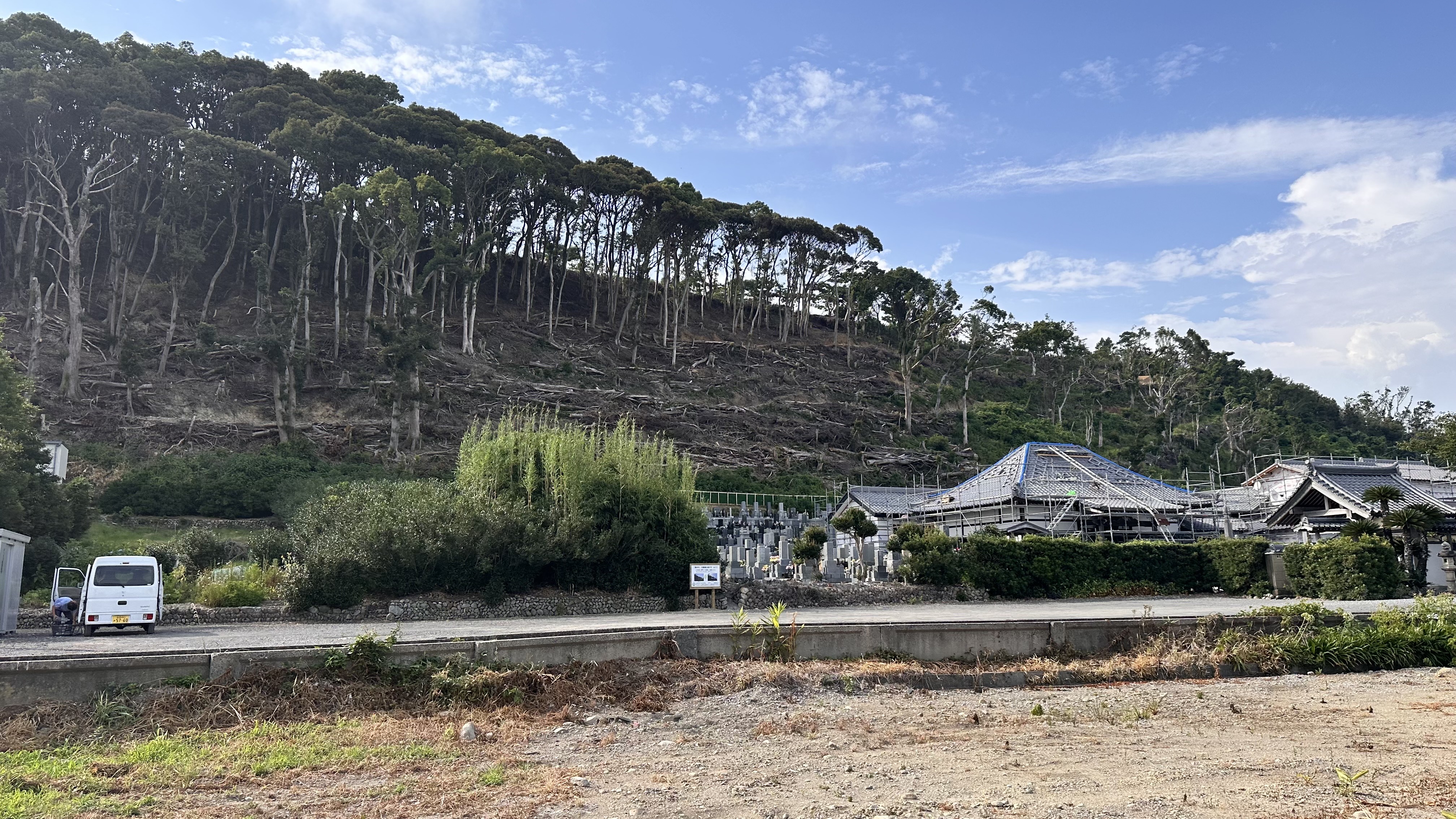 牧之原市 竜巻でなぎ倒された山林の風景